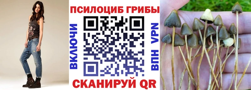Галлюциногенные грибы мицелий Тотьма